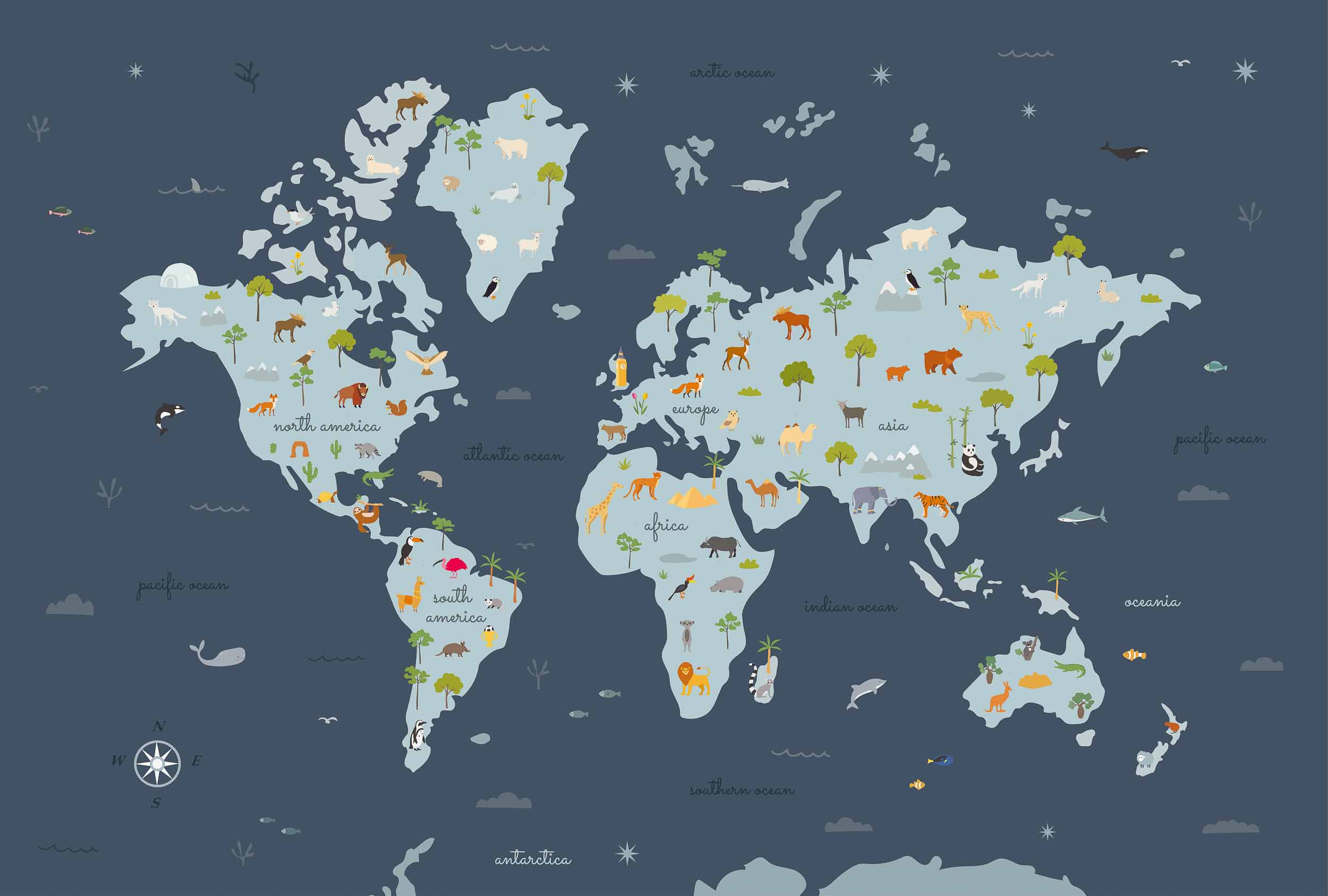 Animal Map, Wave, Coordonne